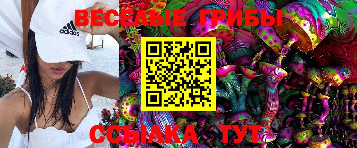 Псилоцибиновые грибы Psilocybine cubensis  Вход с VPN  Заводоуковск 